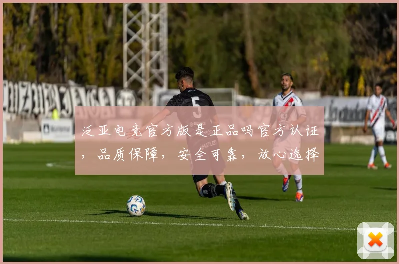 泛亚电竞官方版是正品吗官方认证，品质保障，安全可靠，放心选择。