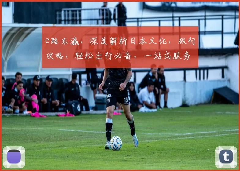 e路东瀛，深度解析日本文化，旅行攻略，轻松出行必备，一站式服务体验