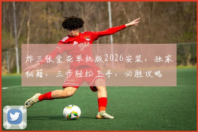 炸三张金花单机版2026安装，独家秘籍，三步轻松上手，必胜攻略
