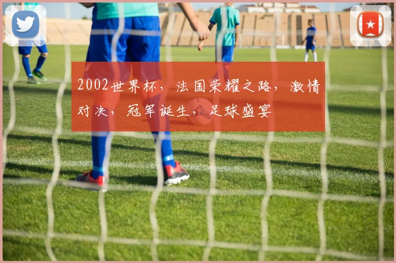 2002世界杯，法国荣耀之路，激情对决，冠军诞生，足球盛宴