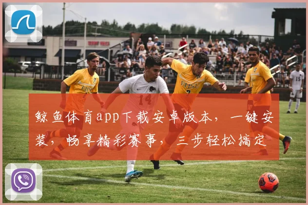 鲸鱼体育app下载安卓版本，一键安装，畅享精彩赛事，三步轻松搞定，体验无极限